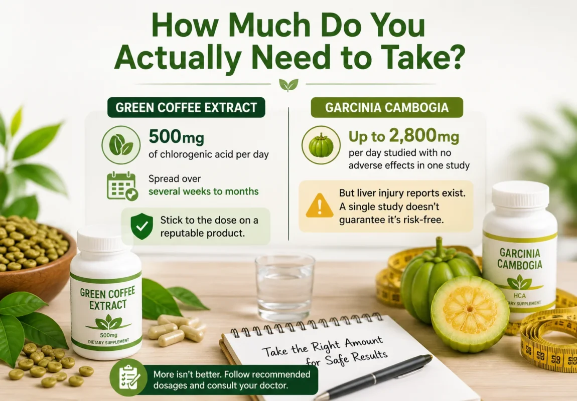 Infographic comparing recommended doses of green coffee extract and Garcinia cambogia for weight loss supplements.